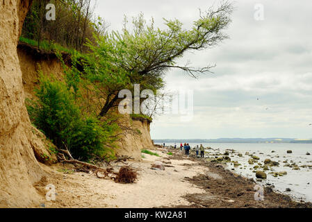 L'île de Poel, baltique, Steilk ?ste près de plage Timmen, Ostseeinsel Poel, Steilküste bei Timmendorf Strand Banque D'Images