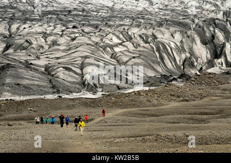 L'Islande, langue du glacier Svinafellsj ?kull dans le parc national ?Vatnaj kull, Island, Gletscherzunge Svinafellsjökull Vatnajökull im Nationalpark Banque D'Images