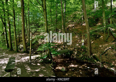 Elbsandsteingebirge, la Suisse Saxonne, l'augmentation de la Village château d'éviction dans le Goss la vallée du ruisseau Noir, Suisse Saxonne, Aufgang zum Raubsch Banque D'Images