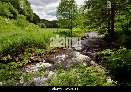 Elbsandsteingebirge, la Suisse Saxonne, brook Sebnitz dans le Sebnitztal Sebnitzbach, Sächsische Schweiz, im Sebnitztal Banque D'Images