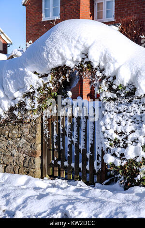 Les fortes chutes de neige en décembre 2017 dans la région de Acton Burnell, Shropshire, propriétés de gauche à la pittoresque et très Christmasy. Banque D'Images