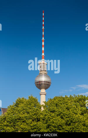 Vue panoramique vue verticale de la célèbre tour de télévision de Berlin, à Alexanderplatz sur une belle journée ensoleillée avec ciel bleu et vert des arbres en été, au centre de Berlin M Banque D'Images