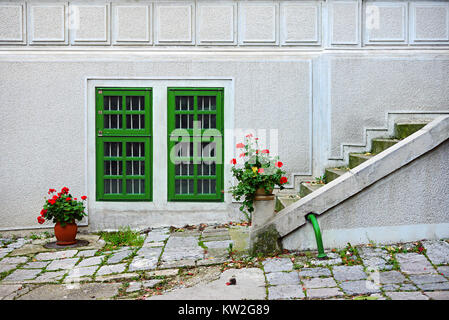Rustique et de fleurs vert windows sur l'ancienne maison Banque D'Images