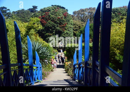 Le pont en bois bleu près de l'entrée de l'abbaye Les jardins, l'île de Tresco, Îles Scilly, Cornwall, UK Banque D'Images