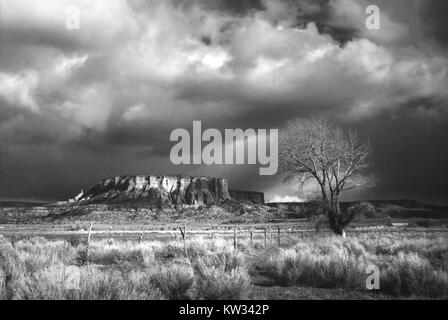 Cette collection de photographies en noir et blanc, intitulée « Noir et blanc de près et de loin », capture une variété de sujets allant des scènes locales aux terres lointaines. La collection reflète la puissance de l'imagerie monochrome dans la narration et la documentation. Banque D'Images