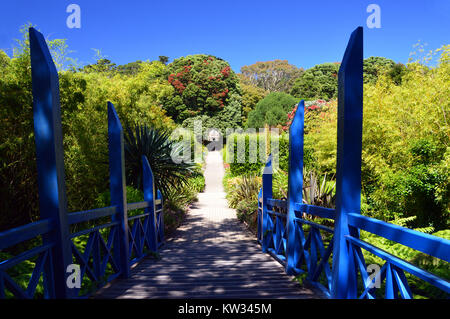 Le pont en bois bleu près de l'entrée de l'abbaye Les jardins, l'île de Tresco, Îles Scilly, Cornwall, UK Banque D'Images