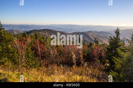 Smoky Mountain panorama paysage d'automne. Vue d'automne feuillage d'automne de la Smoky Mountains de l'Clingman Dome surplombent de Gatlinburg, Tennessee. Banque D'Images