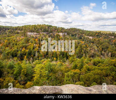 New York panorama de montagnes. Donnent sur vue à partir de la gorge de la rivière Rouge dans la forêt nationale Daniel Boone, Kentucky. Slade dans Banque D'Images