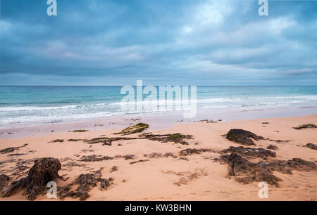 Les roches du littoral sur la plage de l'île de Porto Santo, l'archipel de Madère, Portugal Banque D'Images
