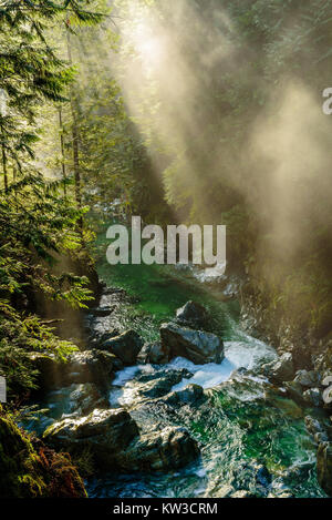 Les rayons du soleil percent le brouillard et brume sur Lynn Creek dans la région de Lynn Canyon Park, North Vancouver, Colombie-Britannique, Canada Banque D'Images