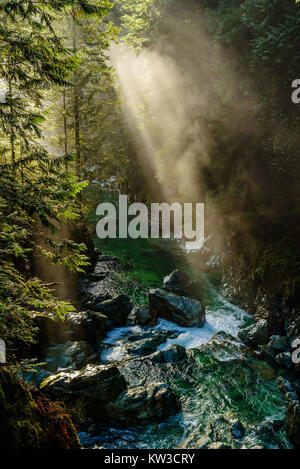 Les rayons du soleil percent le brouillard et brume sur Lynn Creek dans la région de Lynn Canyon Park, North Vancouver, Colombie-Britannique, Canada Banque D'Images