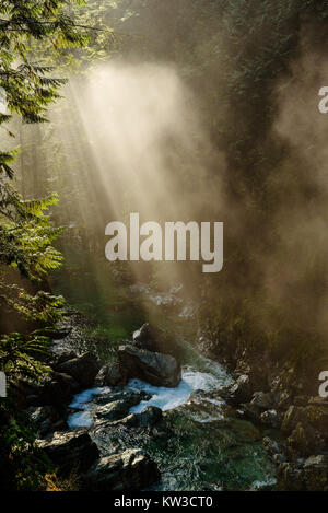 Les rayons du soleil percent le brouillard et brume sur Lynn Creek dans la région de Lynn Canyon Park, North Vancouver, Colombie-Britannique, Canada Banque D'Images