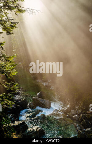 Les rayons du soleil percent le brouillard et brume sur Lynn Creek dans la région de Lynn Canyon Park, North Vancouver, Colombie-Britannique, Canada Banque D'Images