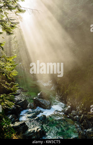 Les rayons du soleil percent le brouillard et brume sur Lynn Creek dans la région de Lynn Canyon Park, North Vancouver, Colombie-Britannique, Canada Banque D'Images