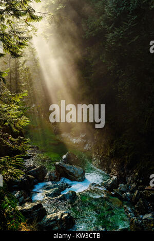 Les rayons du soleil percent le brouillard et brume sur Lynn Creek dans la région de Lynn Canyon Park, North Vancouver, Colombie-Britannique, Canada Banque D'Images