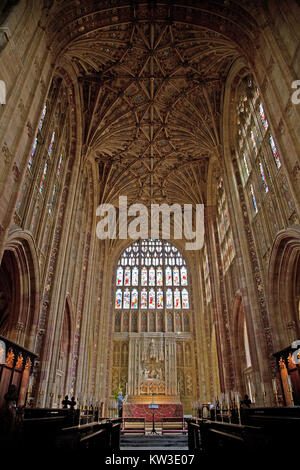 Abbaye de Sherborne, Dorset, Angleterre, montrant le toit voûté, stalles et vitrail. Banque D'Images