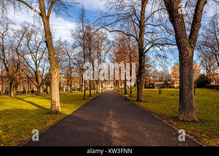 Les arbres le long d'une route dans un parc de la ville sous un ciel bleu avec des nuages Banque D'Images