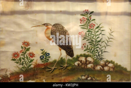 Oiseau et fleurs, Chine, sur papier Tetrapanax papyrifer Robert C. Williams DSC00391 Paper Museum Banque D'Images