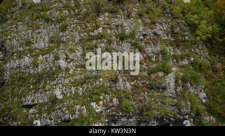 Une photographie intitulée 'Bohinj 2916386922 o' capture une vue panoramique du lac Bohinj, en Slovénie, soulignant sa beauté naturelle et les Alpes juliennes environnantes. Banque D'Images