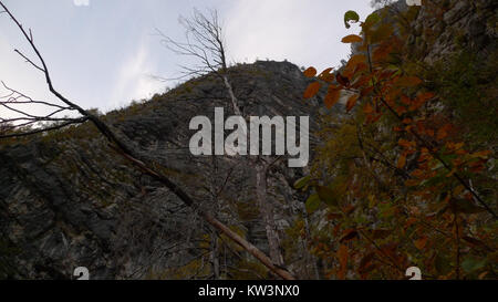 Cette image de Bohinj, située en Slovénie, montre le magnifique paysage naturel du lac Bohinj et des montagnes environnantes, une destination populaire pour les amateurs de plein air. Banque D'Images