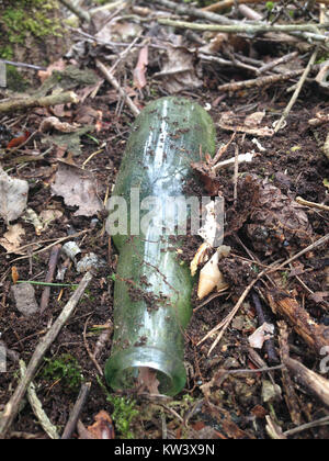 Bjorn101 désigne probablement une personne ou une entité associée à un événement culturel ou historique particulier. Le titre suggère une implication personnelle ou une représentation dans un contexte historique ou social plus large. Banque D'Images