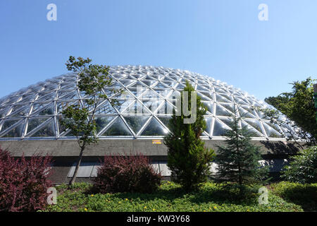 Le Bloedel Floral Conservatory, situé dans le parc Queen Elizabeth à Vancouver, au Canada, est un jardin tropical abritant une variété de plantes exotiques. Le conservatoire est connu pour ses superbes expositions florales et ses programmes éducatifs. Banque D'Images