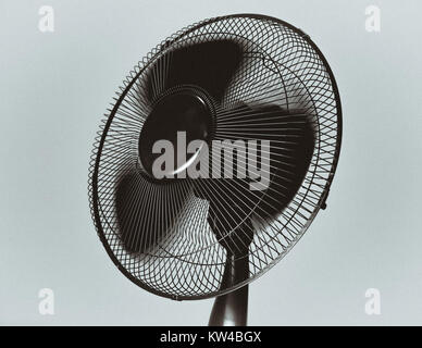 Ce ventilateur noir avec pales tournantes est conçu pour le refroidissement. Ses lames rotatives fournissent un flux d'air, ce qui en fait un appareil électroménager courant pour maintenir le confort dans les environnements chauds. Banque D'Images