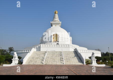 La Pagode de la paix mondiale à Lumbini, Népal Banque D'Images