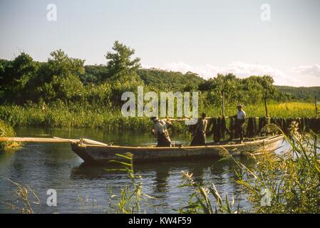 Les travailleurs japonais à bord d'un bateau traditionnel de pêche sur une rivière, avec le feuillage en arrière-plan, Japon, 1952. Banque D'Images