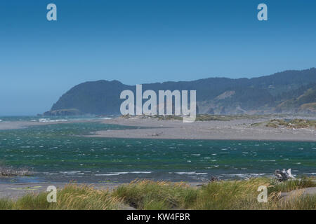 À l'échelle du Nord de la rivière pistolet lorsqu'elle est introduite dans l'Océan Pacifique Banque D'Images