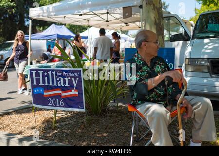 Dans un marché d'agriculteurs dans la région de la baie de San Francisco ville de Danville, en Californie, un homme mûr avec une canne est assis sur une chaise et diffuse des informations à propos de Hillary Clinton's 2016 Campagne pour le président, Danville, Californie, le 13 août 2016. Banque D'Images