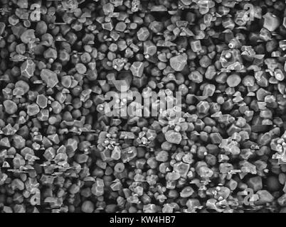 Microscope électronique à balayage (MEB) microphotographie montrant des granulés d'amidon de maïs, à un grossissement de 600x, 2016. Image montre des objets en relation avec l'effet de charge sur l'échantillon. Banque D'Images