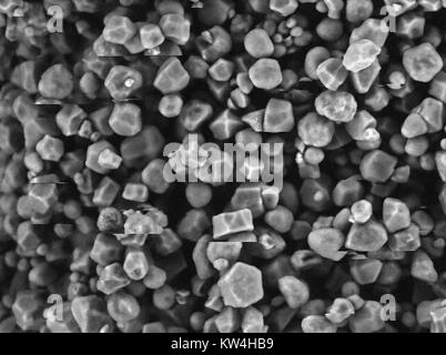 Microscope électronique à balayage (MEB) microphotographie montrant des granulés d'amidon de maïs, à un grossissement de 1000x 2016. Image montre des objets en relation avec l'effet de charge sur l'échantillon. Banque D'Images