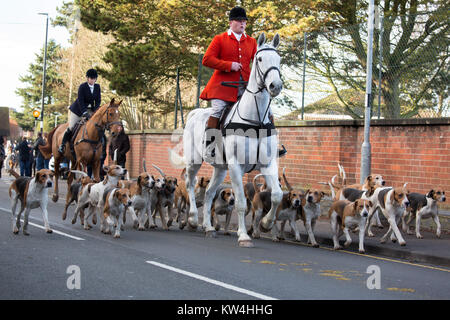 Chasse Atherstone réunion en Market Bosworth Leicestershire le lendemain Banque D'Images