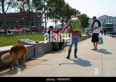 Un couple marche leur chien au parc du bassin de la Chine avant les jours de canicule articles promotionnels d'un match de baseball, un événement annuel dans lequel l'équipe de baseball des Giants de San Francisco permet aux fans d'amener leurs chiens pour un match de saison régulière, près de ATT Park dans le bassin de la Chine quartier de San Francisco, Californie, le 21 août 2016. Banque D'Images