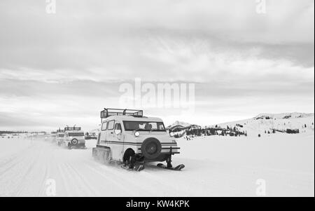 Bombardier Xanterra snowcoaches à Swan Lake Studios, le Parc National de Yellowstone, Wyoming, 2016. Image courtoisie Jim Peaco/Parc National de Yellowstone. Banque D'Images