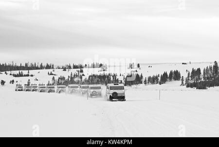 Bombardier Xanterra snowcoaches à Swan Lake Studios, le Parc National de Yellowstone, Wyoming, 2016. Image courtoisie Jim Peaco/Parc National de Yellowstone. Banque D'Images