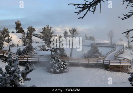 Promenades sur la terrasse principale de Mammoth Hot Springs, Parc National de Yellowstone, Wyoming, Décembre, 2014. Image courtoisie Jim Peaco/Parc National de Yellowstone. Banque D'Images