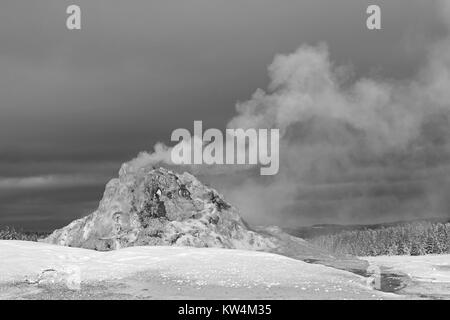 L'augmentation de vapeur de White Dome geyser, le Parc National de Yellowstone, Wyoming, le 10 novembre 2015. Image courtoisie Jim Peaco/Parc National de Yellowstone. Banque D'Images
