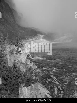 Yellowstone River qui coule à travers le Grand Canyon de la Yellowstone, le Parc National de Yellowstone, Wyoming, Juin, 2015. Image courtoisie Jim Peaco/Parc National de Yellowstone. Banque D'Images