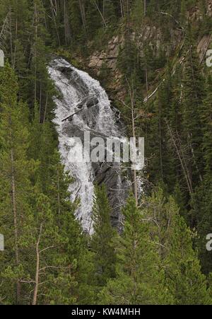 La Virginia Cascades sur la rivière Gibbon, le Parc National de Yellowstone, Wyoming, août 2013. Image courtoisie Jim Peaco/Parc National de Yellowstone. Banque D'Images