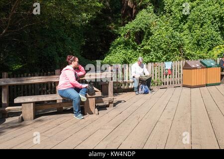 Deux touristes s'asseoir sur des bancs sur une terrasse en bois à Muir Woods National Monument, Mill Valley, Californie, le 5 septembre 2016. Banque D'Images