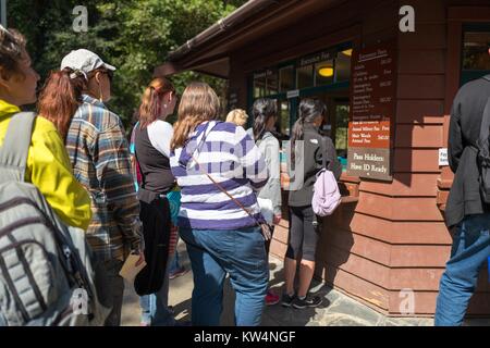 Les touristes à attendre en ligne pour payer les frais d'entrée pour Muir Woods National Monument, Mill Valley, Californie, le 5 septembre 2016. Banque D'Images