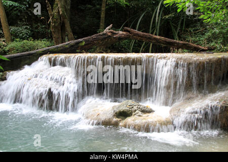 Grand arbre et cascade dans le parc national d'Erawan, Thaïlande Banque D'Images