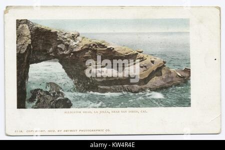 Éclaboussures des vagues contre tête alligator arche naturelle, formation de la Jolly, San Diego, Californie, USA, 1914. À partir de la Bibliothèque publique de New York. () Banque D'Images