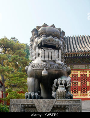 Statue d'un Lion de Bronze au Summer Palace, Beijing, Chine Banque D'Images