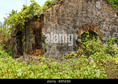 Ruines d'un des anciens bâtiments de la prison française. Guyane, l'Île du Diable. Les bars sont encore visibles sur le côté fenêtre. L'île Royale. Banque D'Images