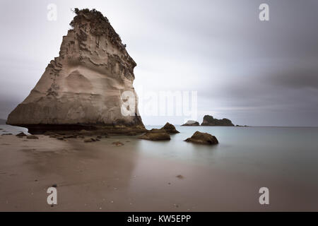 Te Hoho Rock sea sail est pile comme sur une Cathédrale Cove près de Hahei atmosphérique sur la péninsule de Coromandel, île du Nord, Nouvelle-Zélande Banque D'Images