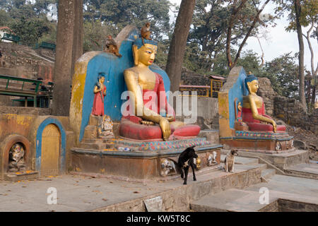 Statues de Bouddha sur les étapes qui mènent à Swayambhunath Stupa (Monkey Temple) à Katmandou au Népal Banque D'Images