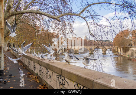 Rome (Italie) - le Tibre et le Lungotevere monumentale avec 'Isola Tiberina' island et vieux ponts Banque D'Images